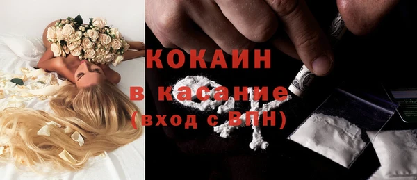 стафф Дмитриев
