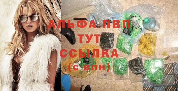 стафф Дмитриев