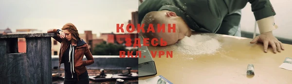 стафф Дмитриев