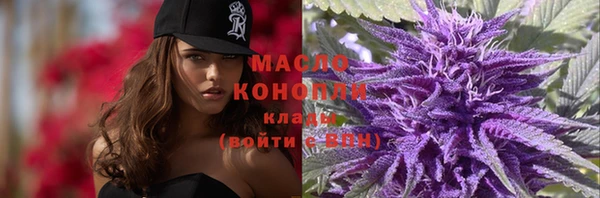 МДПВ Дмитров