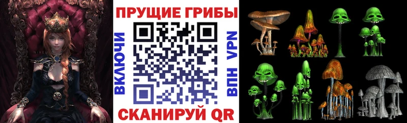blacksprut зеркало  Дербент  Псилоцибиновые грибы мицелий 