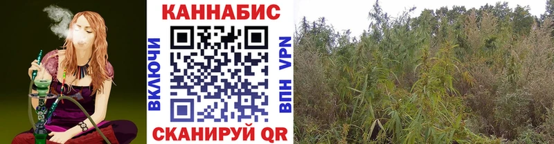 Марихуана OG Kush  цены наркотик  Дербент 